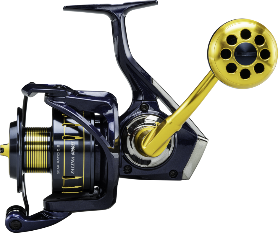 OKUMA SALINA