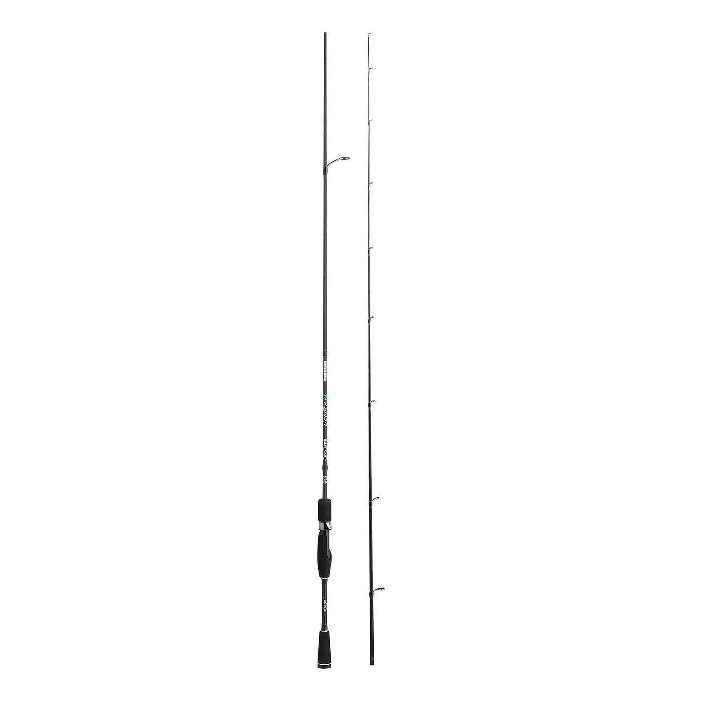 CANNA DENTEX K2