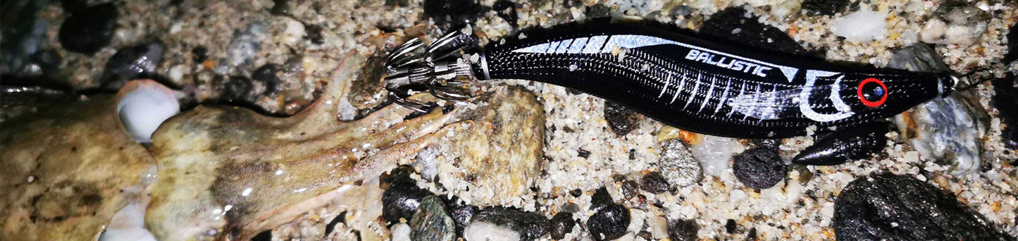 DTD BALLISTIC FULL COLOR EGI