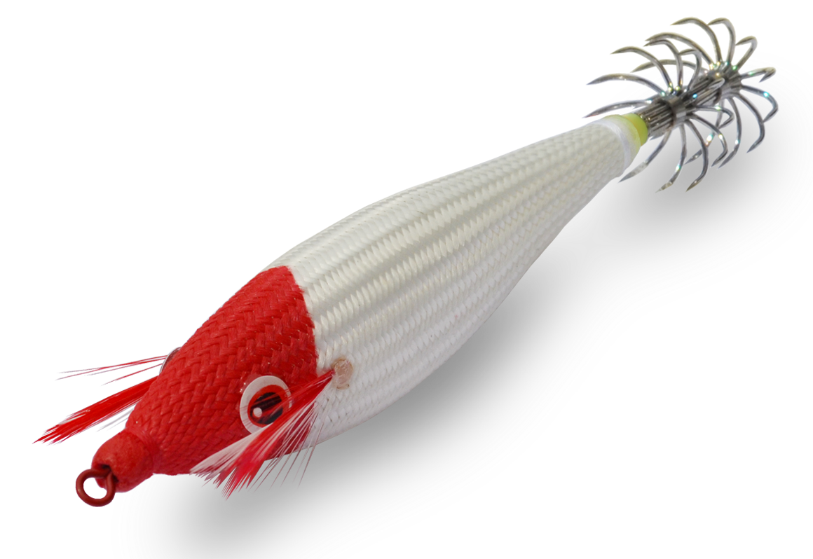 DTD FULL COLOR GLAVOC