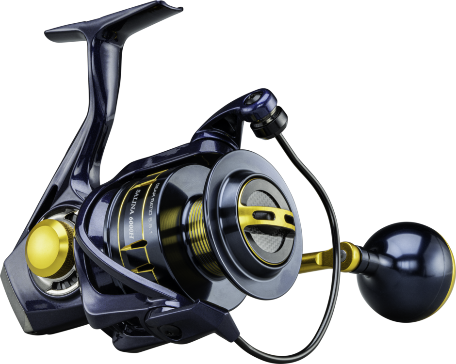 OKUMA SALINA
