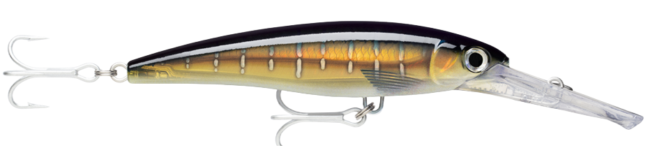 X-RAP® MAGNUM® 15 & 20