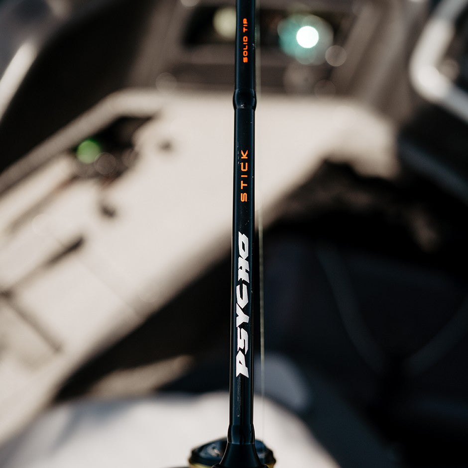 Psycho Stick